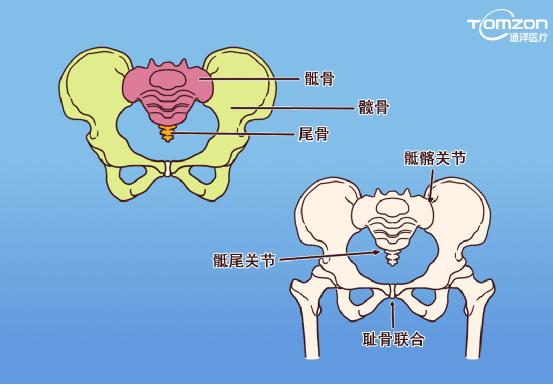 產(chǎn)后骨盆變化大可以用盆底肌修復(fù)儀器治療嗎